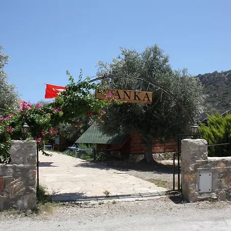 Datcanka Ahsap & Kutuk Evler Mesudiye (Datca)