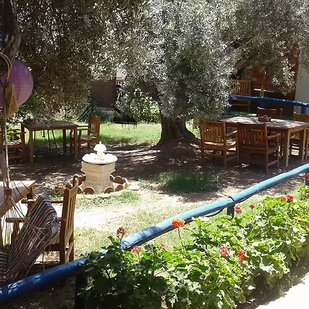 בית הארחה Datcanka Ahsap & Kutuk Evler *
